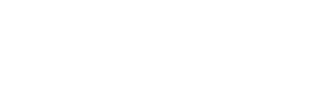 BRF Brain Research Fondazione ONLUS